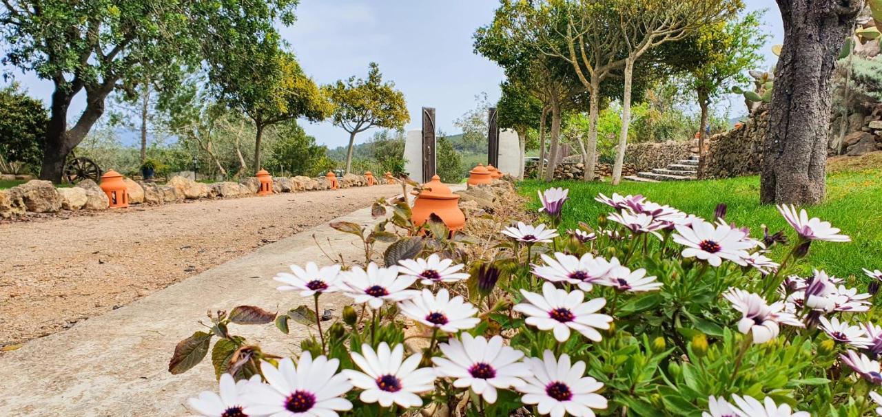 Marquet 3* Santa Gertrudis (Ibiza)